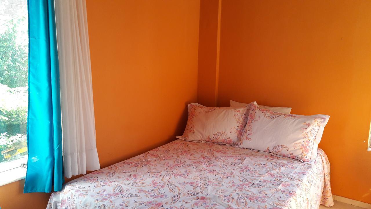 Banana Leaf Eco Hostel Рио-де-Жанейро Экстерьер фото